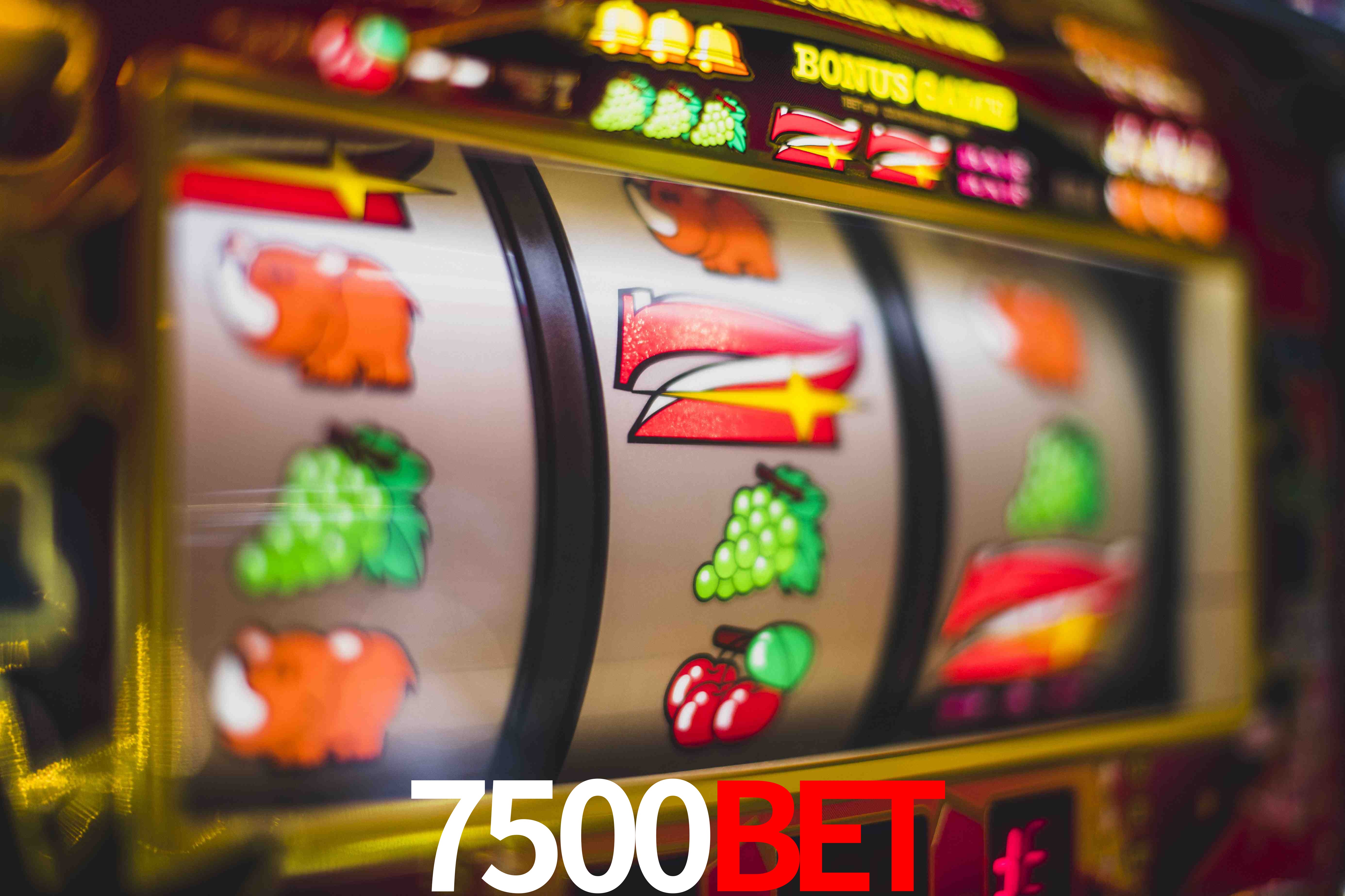 Sports Statistics 7500bet